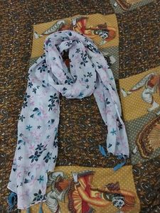 Scarf