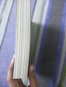 The Inheritance Games