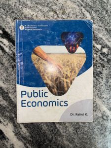 Public Economics