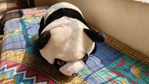 Cute Panda Toy