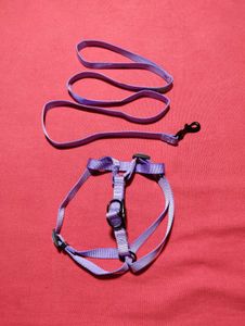 Small Dog Harness