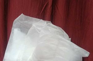Caredone Disposable Period Panty