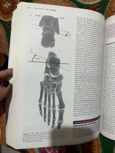 Joint Structure and Function Book