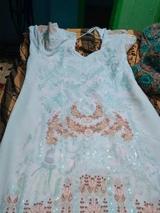 Georget Pakistani Dress.  Paint With Top