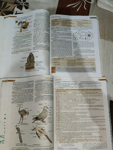 Modern Biology Class XI (Parts I &amp; II)