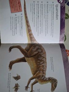 Dinosaurs &amp; Prehistoric Life