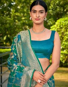 Elegant Green &amp; Blue Saree