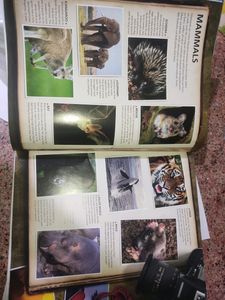 The Visual Encyclopedia Of Everything (Books For K