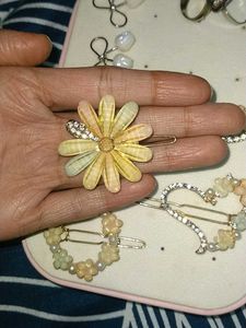 Hair Clips🌸