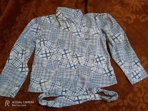 Puffed Sleeve Shirt Style Top