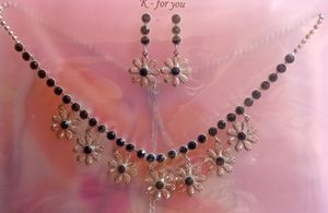 New Necklace And Earring Set