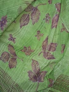 Green Floral Print Saree