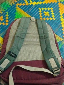 Skybags Backpack