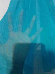 Blue Dupatta With Multicolor Border