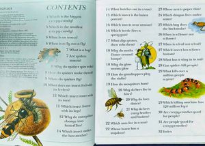 Spiders Spin Webs/ I Wonder Why Children Book