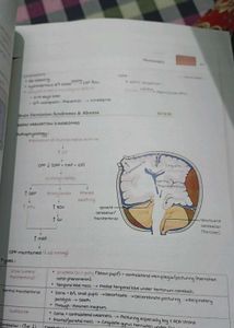 Marrow Notes 8ed