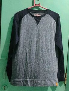 Men's Raglan Long Sleeve Shirt