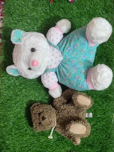 Teddy Combo