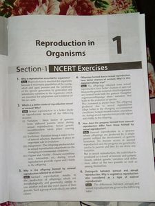Class 12 Biology Mtg Textbooks +Exemplar