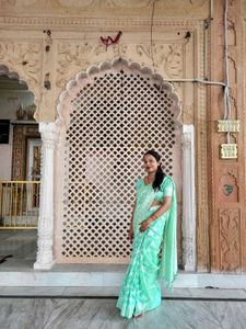 Elegant Mint Green Saree