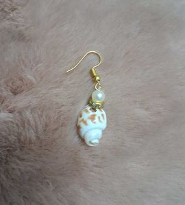 Shell Pearl Drops