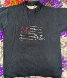 Men Blue Sweater