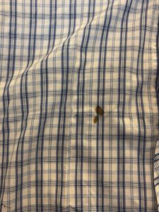 Plaid Short Sleeve Shirt