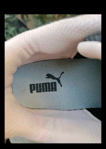 Puma Shoe