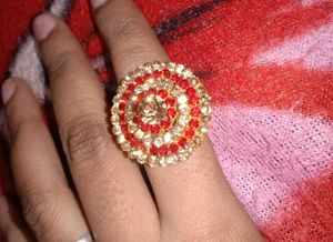 Red &amp; Crystal Brooch