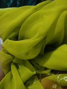 Green Sequence Saree