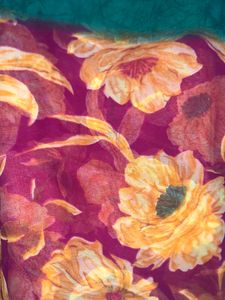 Jambli Flolesh Saree