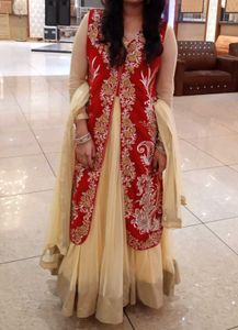 Embroidered Indian Dress