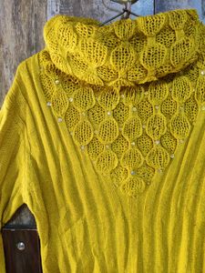 Two Woolen Top At 250