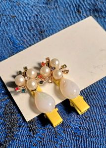 Fancy Hair Clips ✨