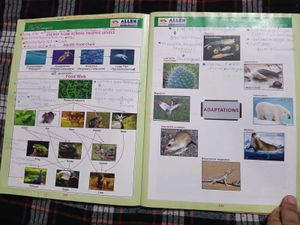 Bioimagica Textbook