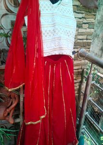 Srishti Brand Lehenga Choli Set