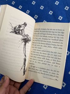 Novel