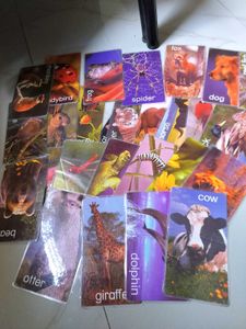 Einstein Cards From the US