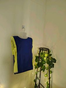 Blue Sleeveless Two-toned Top