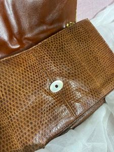 Vintage Pure Snake Skin Bag