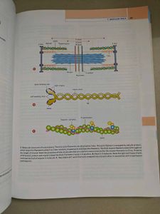 Textbook of Histology, 5th Edition