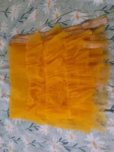Orange Net Dupatta