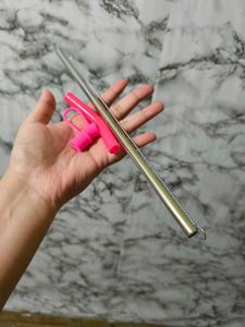 House Of Quirk StainlessSteel& Plastic Straw Combo