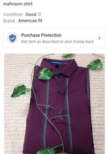 Mens Shirt