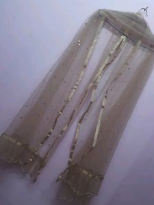 Organza And Net Dupatta