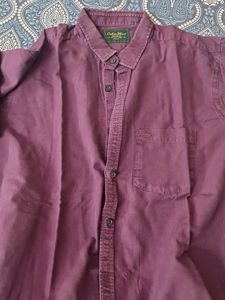 Color Plus Purple Shirt