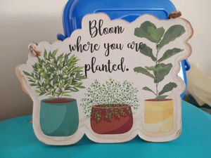 Wooden Quote"Bloom Where you Planted" Wall Decor