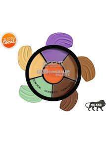 Insight Pro Concealer Palette