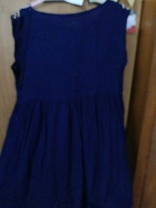 Navy Embroidered Sleeveless Dress