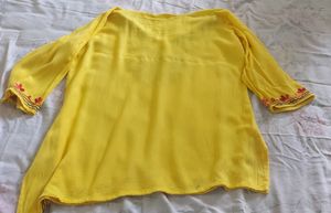 Pretty Kashmiri Embroidery Short Kurta